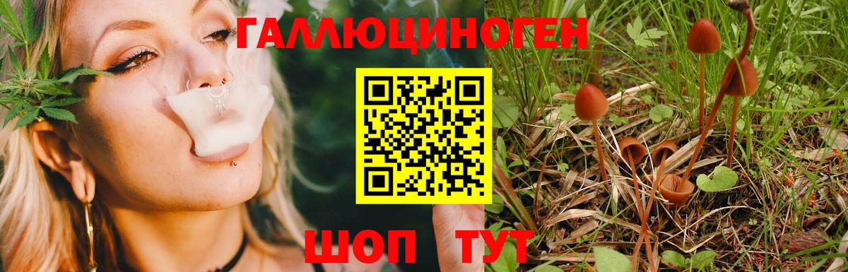 Галлюциногенные грибы ЛСД  Вход с VPN  Осинники 