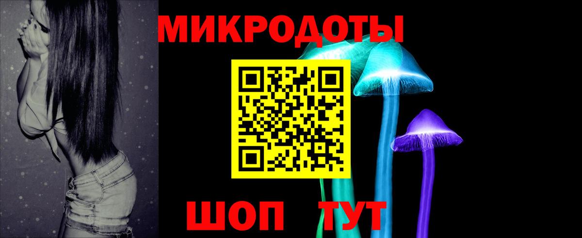 Псилоцибиновые грибы Cubensis Осинники