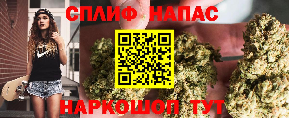 Конопля OG Kush Осинники